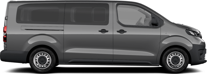 Toyota Proace - Combi Professional - Long Combi, 4 ust