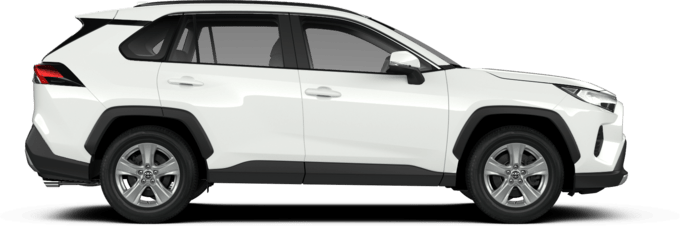 Toyota RAV4 - Luxury - Visureigis