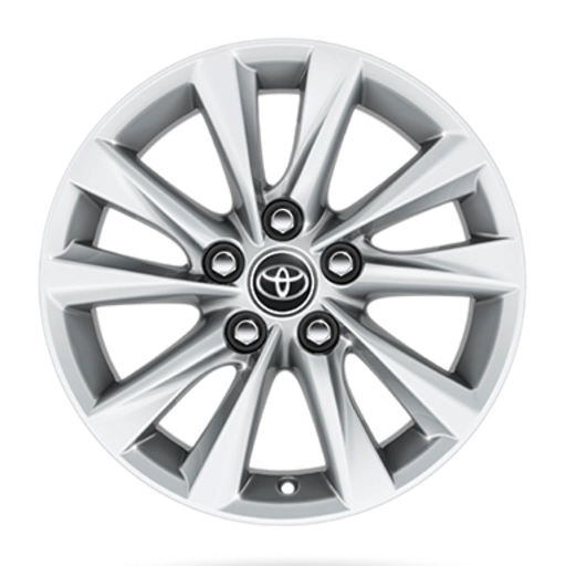 Cerchi in acciaio da 16" con pneumatici 205/55 R16 0