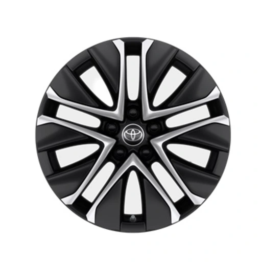 4 roues hiver avec jantes en alliage léger 19" haut de gamme et pneus premium 0