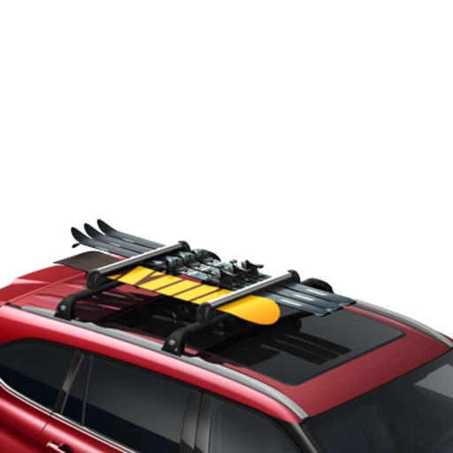 Orta xizək və snoubord saxlayıcısı 0