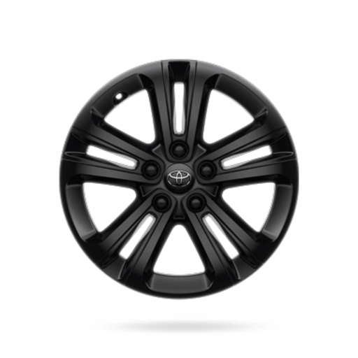 16" 5-Double spoke black alloy wheel 0