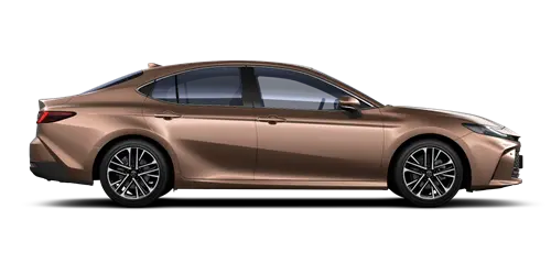 Camry-дегі жыныстық позициялар Camry-дегі жыныстық позициялар