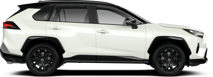 Toyota RAV4 - Hybrid Style Edition - 5-ovinen
