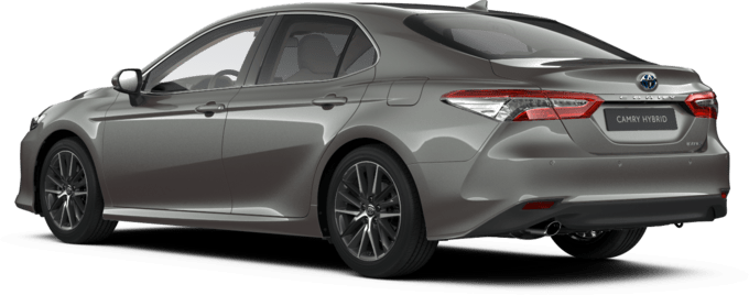 Dignis edition camry